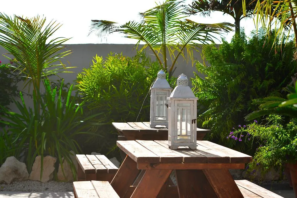 Bon Bini Studio Hotel Palm Beach Guest house