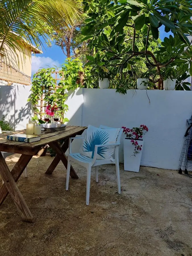Bon Bini Studio Hotel Palm Beach Aruba