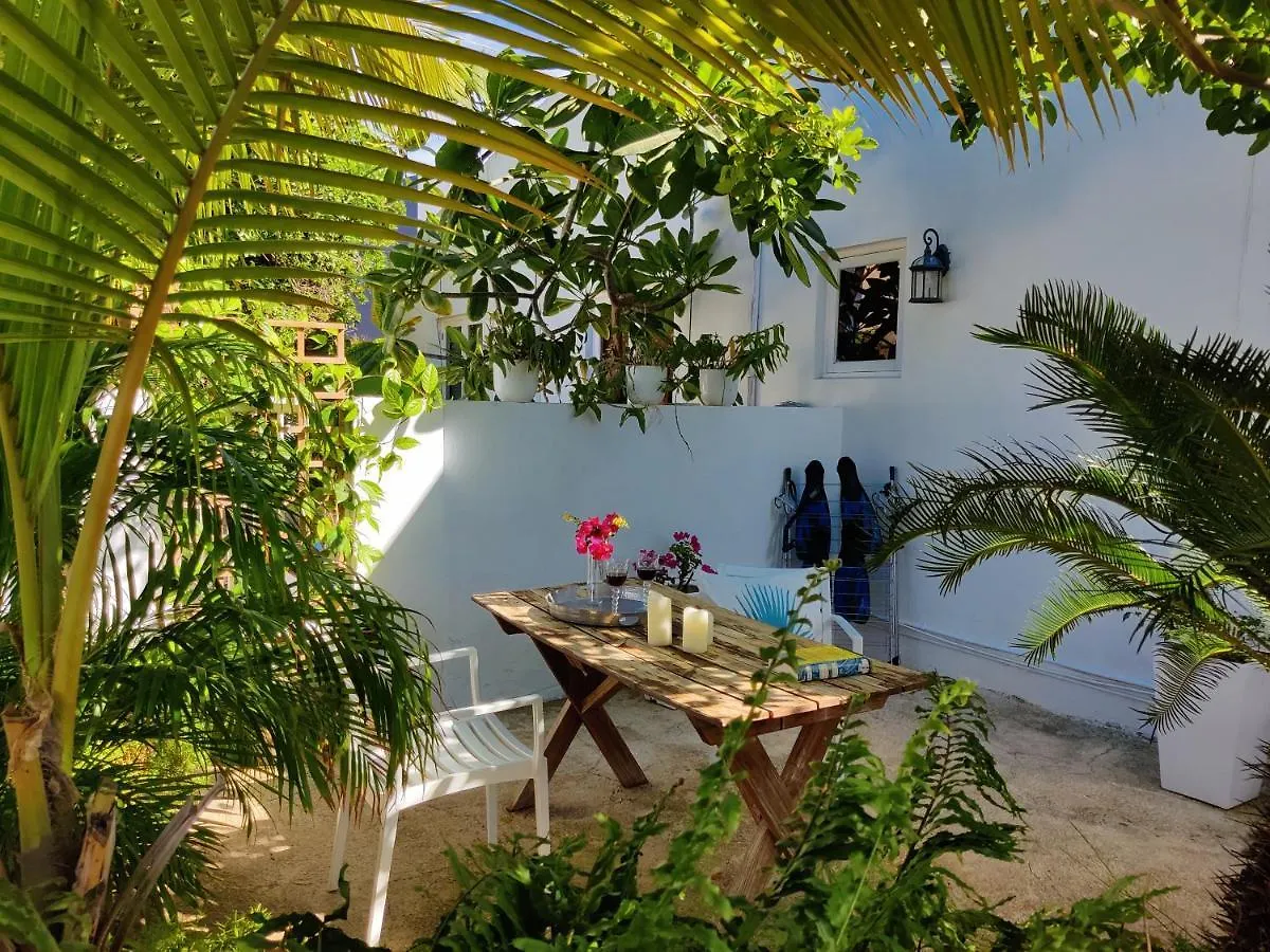 Pensionat Bon Bini Studio Hotell Palm Beach