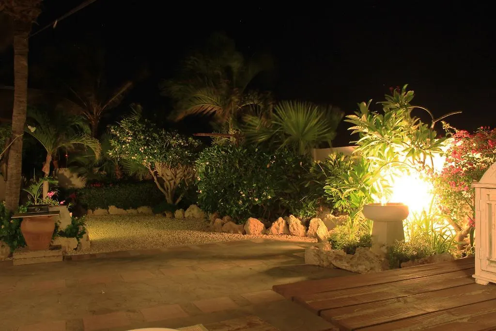 Pensionat Bon Bini Studio Hotell Palm Beach