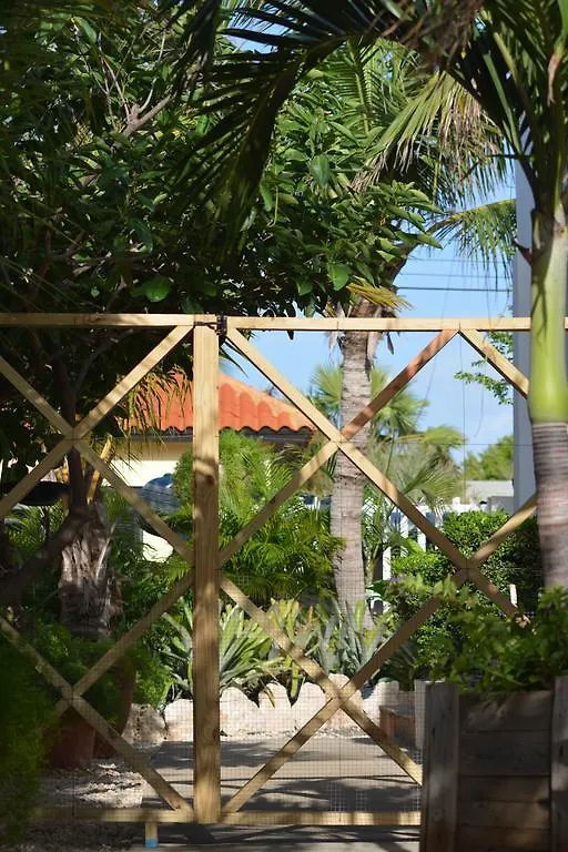 Bon Bini Studio Hotell Palm Beach Pensionat